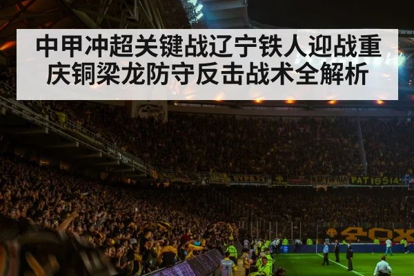 soccer stadium crowd atmosphere